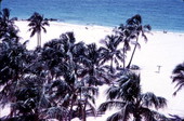 View of the South Park area of Fort Lauderdale's public beach - Fort Lauderdale, Florida.