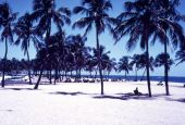 View of Fort Lauderdale's public beach - Fort Lauderdale, Florida.