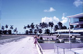 Horse's eye view of the Gulfstream Park finish line - Hallendale Beach, Florida