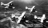 N3N's in formation (primary seaplanes) over the Naval Air Station in Jacksonville
