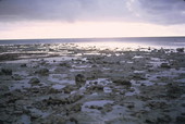 Low tide in the Florida Keys