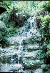 Waterfall at Devil's Millhopper - Gainesville, Florida
