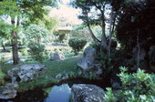 Japanese garden on Watson Island - Miami, Florida