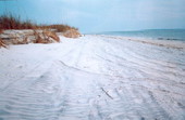 View of the beach and the ocean - Little Talbot Island, Florida