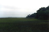 Marshes at Big Talbot Island State Park - Jacksonville, Florida .