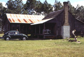 Whitehead Ranch - Lake City, Florida.