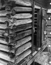 Close of logs that make a cabin