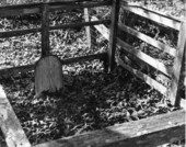 Fenced-in burial plot - Big Scrub, Florida.