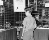 Boy looking at the animals on display at a Miami Board of Realtors Home Show.