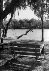 Scenic view of the Devil's Elbow on the Caloosahatchee River in Olga, Florida.
