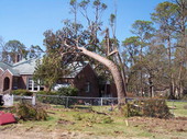 Trees down on home in Pensacola, Florida.