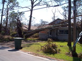 Trees down on house in Pensacola, Florida.