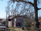 Trees on top of house in Pensacola, Florida.