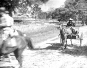 African American man who owned bloodhounds that hunted prison escapees