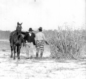 African American Raiford prison inmate being filmed for a movie