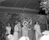 Legislative wives at mansion