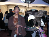State Representative Audrey Gibson, D-Jacksonville, meeting an American bald eagle from Sea World at an outdoor cocktail party before the legislative session in Tallahassee, Florida.