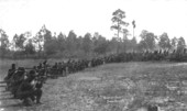 Skirmish drill, Tampa Heights..
