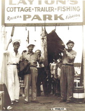 Fishing party posing with sailfish at Layton's Park - Riviera Beach, Florida.
