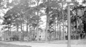 Bryan Hall and back of the Westcott Building at Florida State College for Women - Tallahassee, Florida.