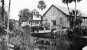 Steamboat "Poinsettia" at mooragge beside the Duval Warehouse on the Caloosahatchee River - Fort Denaud, Florida