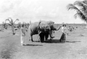 Carl and Rosie as golf caddies - Miami Beach, Florida.