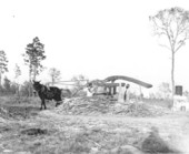 Grinding sugarcane