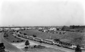 Traffic line of buses - Coral Gables, Florida