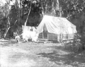 Temporary quarters for custodian at Royal Palm State Park - Miami, Florida.