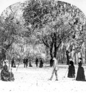Croquet grounds - Hibernia, Florida
