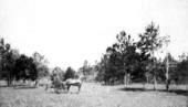 View seen from Leon Heights - Tallahassee, Florida.