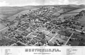 Lithograph of the county seat of Jefferson County - Monticello, Florida