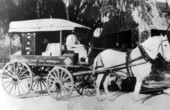 Rail Way Express wagon - Ocala, Florida