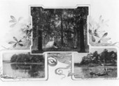 Camping and fishing - Leon County, Florida