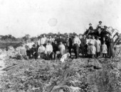 Group of people near the celery harvest at Gillette