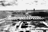 Wilson Lumber Company - Wilson, Florida
