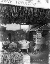 Gadsden County exhibit at the South Florida Fair