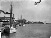 Sailboats along the waterfront - Tampa, Florida.
