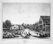Print of a residential street scene - Tallahassee, Florida.