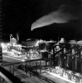 Buckeye Cellulose plant at night