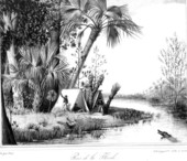 Lithograph of the Wakulla River by A. Bertrand