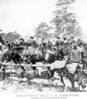 Scene from a cavalry camp during the Spanish-American war - Tampa, Florida.