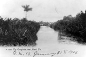 Canal in the Everglades