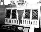 Granger Lumber Company's Charolais cattle awards - Lake City, Florida