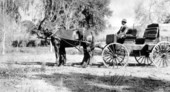 Hunt wagon on Welaunee Plantation - Leon County, Florida