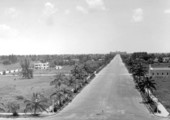 View of street - Hollywood, Florida