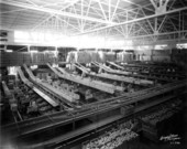Loading crates of citrus onto conveyer belts in a citrus packing house - Waverly, Florida