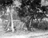 Early tent and makeshift camp - Miami, Florida