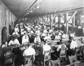 Interior view of a cigar factory - Tampa, Florida.