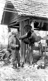 Hunter and dogs with turkeys and fish - Green Swamp, Florida
